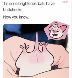 butt feral feralized fur humor male red_eyes tail text white_body white_fur c0nill baldur's_gate baldur's_gate_3 bioware dungeons_and_dragons electronic_arts hasbro larian_studios wizards_of_the_coast astarion_(baldur's_gate) batstarion bat leaf-nosed_bat mammal microbat vampire_bat yangochiropteran draw_over english_text hi_res image_macro meme