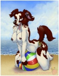 anthro ball beach beach_ball border breasts clothed clothing cloud female inflatable nipples outside panties pool_toy sand seaside sky solo tail topless underwear white_border farorenightclaw canid canine canis domestic_dog mammal 2011