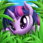 cloud dew female fur grass hair horn multicolored_hair plant purple_body purple_eyes purple_fur sky solo young zigword friendship_is_magic hasbro my_little_pony mythology twilight_sparkle_(mlp) arthropod beetle cucujoid equid equine insect ladybug mammal mythological_creature mythological_equine unicorn 1:1 2014