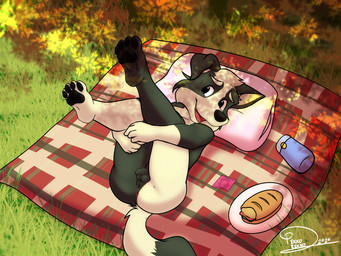 anthro baguette black_body bread feet flaccid food foreskin fur genitals long_foreskin lying male nude nude_anthro on_back open_mouth open_smile park penis picnic smile solo toes unretracted_foreskin white_body white_fur young young_anthro young_male pekkorekko bluey_(series) mackenzie_(bluey) border_collie canid canine canis collie domestic_dog herding_dog mammal pastoral_dog sheepdog 4:3 absurd_res hi_res