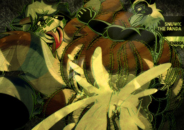 anthro anthro_on_anthro anthro_penetrated anthro_penetrating anthro_penetrating_anthro anus big_butt bodily_fluids butt cum cum_in_ass cum_inside cumshot duo_focus ejaculation excited excited_expression excited_face excited_male genital_fluids genitals group male male/male male_anthro male_penetrating penetration puffy_anus sex size_difference thick_thighs wide_hips snuwkthelewd snuwk_(snuwkthelewd) yan_(yanthehornycoon) bear giant_panda mammal procyonid raccoon 2026 hi_res