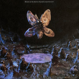 ambiguous_gender antennae_(anatomy) cave detailed_background feral flying horror_(theme) insect_wings lepidopteran_wings looking_at_viewer puddle solo stalagmite text underground wings plastiboo vermis_(plastiboo) arthropod insect lepidopteran moth 1:1 english_text hi_res sculpture_(artwork) traditional_media_(artwork)
