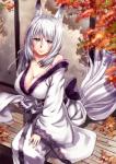 asian_clothing big_breasts breasts cleavage clothed clothing east_asian_clothing female fox_tail grey_eyes grey_hair hair japanese_clothing kimono long_hair looking_at_viewer obi obijime off_shoulder sitting smile solo jirou_(62sand3gemt9) animal_humanoid canid canid_humanoid canine canine_humanoid fox fox_humanoid humanoid mammal mammal_humanoid