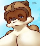 anthro anthrofied big_breasts blue_eyes breasts brown_body brown_fur close-up crossgender eye_bags female fur looking_at_viewer looking_down looking_down_at_viewer mature_female mtf_crossgender solo tan_body tan_fur oystercatcher7 dreamworks over_the_hedge rj_(over_the_hedge) mammal procyonid raccoon