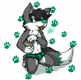 anthro biped black_body black_fur bulge clothing container cookie cookie_jar cute_fangs dipstick_tail fangs food footprint fur green_body green_clothing green_fur green_nose green_underwear grey_body grey_ears grey_fur hair jar male markings monotone_hair multicolored_body multicolored_fur pawprint solo tail tail_markings teeth underwear white_body white_fur white_inner_ear gaokun canid canine canis mammal wolf 2015 watermark