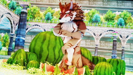 anthro balls black_nose blush countershading covering covering_self food fruit fur genitals green_eyes kemono looking_at_viewer male melon multicolored_body multicolored_fur navel nude penis plant smile solo watermelon white_body white_fur malicekira lifewonders tokyo_afterschool_summoners seth_(tas) canid canine canis jackal mammal 16:9 2019 3d_(artwork) digital_media_(artwork) mikumikudance_(artwork) widescreen