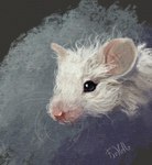 abstract_background black_eyes female feral fur looking_at_viewer pink_snout realistic solo whiskers white_body white_fur fihell mammal mouse murid murine rodent digital_media_(artwork) digital_painting_(artwork) hi_res portrait