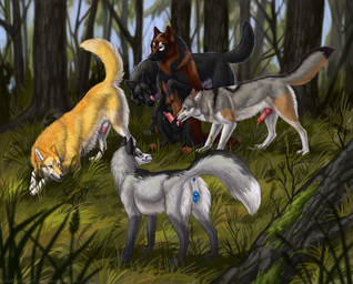 animal_genitalia animal_penis animal_vulva anus ass_up balls black_balls black_body black_fur black_nose blue_anus blue_eyes blue_sky blue_vulva blurred_background brown_body brown_fur butt canine_genitalia canine_penis canine_vulva dipstick_tail ejaculation erection fellatio female female_feral feral fur genitals grass green_eyes grey_body grey_fur group knot knotted_penis licking licking_lips licking_own_lips lying male male/male male_feral markings on_front oral orange_body orange_fur outside penile penis penis_tip plant presenting presenting_hindquarters red_penis requesting sex sex_request sitting sky tail tail_markings tongue tongue_out tree vulva whiskers white_body white_fur yellow_body yellow_eyes yellow_fur heatherwolf canid canine canis fox mammal wolf absurd_res hi_res