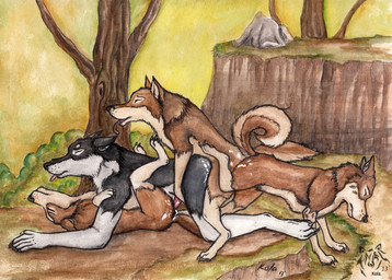 ambiguous_gender ambiguous_on_bottom ambiguous_penetrated anal anal_knotting anal_penetration animal_genitalia animal_penis anthro anthro_on_bottom anthro_on_feral anthro_on_top anthro_penetrated anthro_penetrating anthro_penetrating_feral ass_to_ass bestiality black_body black_fur bodily_fluids brown_body brown_fur canine_genitalia canine_penis cum cum_in_ass cum_inside doggystyle ears_back ejaculation erection eyes_closed feral feral_on_bottom feral_on_feral feral_on_top feral_penetrated feral_penetrating feral_penetrating_anthro feral_penetrating_feral foursome from_behind_position from_front_position fur genital_fluids genitals group group_sex hands-free intraspecies intraspecies_bestiality knotting looking_pleasured lying male male/ambiguous male/male male_on_bottom male_on_top male_penetrated male_penetrating male_penetrating_ambiguous male_penetrating_male mating_grip missionary_position mouth_closed nude on_back on_bottom on_top open_mouth orgasm outside_sex penetration penile penile_penetration penis penis_in_ass pink_penis pivoted_ears plant red_penis reverse_doggystyle rock sex shrub side_view simultaneous_orgasms tail tan_body tan_fur tongue train_position tree versatile white_body white_fur kola_(artist) canid canine mammal 2013 traditional_media_(artwork)