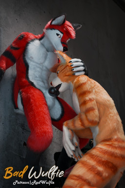5_fingers alley anthro balls biped black_nose blue_eyes city claws digitigrade duo fellatio fingers fluffy fur genitals gloves_(marking) hair male male/male male_anthro markings milo_(red_wulfie) nude oral orange_body orange_fur orange_stripes outside outside_sex pawpads paws penile penis public public_exposure public_nudity public_sex realistic red_body red_fur semi_public sex sign storage_container street striped_body striped_fur striped_markings stripes whiskers white_body white_fur white_whiskers red_wulfie blender_cycles red_(red_wulfie) canid canine canis domestic_cat felid feline felis mammal tabby_cat wolf 2:3 3d_(artwork) absurd_res blender_(artwork) digital_media_(artwork) hi_res watermark