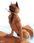 abs anthro athletic brown_body brown_fur countershading eyes_closed front_view fur leaning leaning_forward male muscular muscular_anthro nude pecs pubes scar solo water wet wet_body wet_fur ty_arashi canid canine mammal 4:5