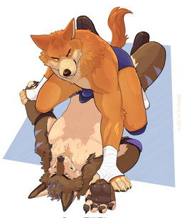 anthro blue_markings brown_body brown_fur claws clothed clothing duo elbow_pads erection erection_under_clothing eye_contact finger_claws footwear fur hair knee_pads looking_at_another male male/male markings orange_body orange_fur pinned pinned_to_ground tail tan_body tan_fur text topless topless_anthro topless_male whiskers wraps wrestling wrestling_briefs wrist_wraps ramaelligre brisky_(briskycoyote) canid canine canis coyote dingo mammal 2024 artist_name hi_res