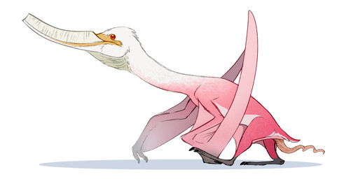 all_fours animal_genitalia animal_penis baleen beak beak_closed claws dewlap_(anatomy) erection feathers feet feral folded_wings genitals grey_feet gular_sac looking_forward male membrane_(anatomy) membranous_wings mouth_closed penis pink_body pink_feathers pink_wings red_eyes shadow side_view simple_background solo spiral_penis tail toe_claws walking white_background white_body white_feathers white_head wings jajavosmiraa prehistoric_species pterodaustro pterosaur reptile scalie 2026 digital_drawing_(artwork) digital_media_(artwork) hi_res
