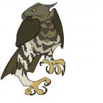 1:1 2013 4_talons 4_toes accipitrid accipitriform ambiguous_gender anisodactyl aquilinae avian avian_feet beak biped bird brown_body brown_feathers brown_markings brown_tail brown_tail_feathers brown_talons brown_wings chest_markings crowned_eagle digital_drawing_(artwork) digital_media_(artwork) dipstick_beak eagle feathered_crest feathered_wings feathers featureless_crotch feet feral folded_wings front_view frown full-length_portrait grey_beak grey_body grey_feathers head_crest hooked_beak jamminbison leg_markings looking_at_viewer markings monotone_tail multicolored_beak multicolored_body multicolored_feathers on_one_leg portrait raised_leg simple_background socks_(marking) solo standing tail tail_feathers talons toes toony two_tone_beak two_tone_body two_tone_feathers unimpressed white_background white_body white_feathers winged_arms wings yellow_beak yellow_sclera