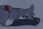 collar female feral floppy_ears fur grey_background grey_body grey_fur kemono lying on_front red_eyes sad side_view simple_background solo ingi ingi_(character) canid canine fox mammal 2022 bust_portrait portrait