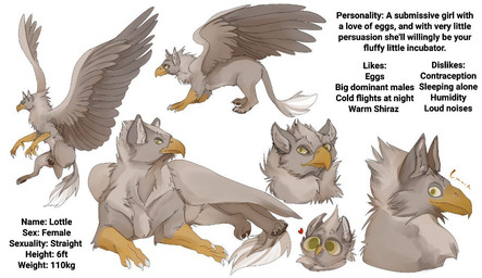 4_fingers beak big_eyes big_wings chibi claws disembodied_head ear_tuft feathers feet female feral fingers flying forearms grey_body grey_feathers heart_symbol large_wings name_drop pointy_beak quadruped resting resting_on_belly scaled_forearms scales side_view simple_background solo talons text toes tuft white_background white_claws wings yellow_beak h.i.a_dibujitos mythology lottle_(dragon-lover) avian gryphon hybrid mythological_avian mythological_creature english_text japanese_text model_sheet