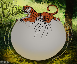 belly big_belly black_body black_fur bloated burp_cloud burping fangs feral feral_pred fur huge_belly hyper hyper_belly male male_pred open_mouth orange_body orange_fur rumbling_stomach striped_body striped_fur stripes teeth vore white_body white_fur paradoxinhead disney the_jungle_book shere_khan felid mammal pantherine tiger hi_res