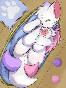4_toes anus bedding blush butt feet female feral fluffy fluffy_tail fur genitals lying on_back pawpads pink_pawpads pointy_ears prick_ears solo tail toes vulva white_body white_fur shiningcanc domestic_cat felid feline felis mammal 3:4 hi_res