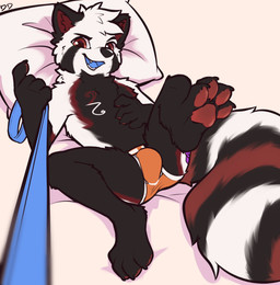 4_toes anthro black_body black_fur black_nose blue_tongue briefs bulge claws clothed clothing feet first_person_view fur head_tuft lying male on_back pawpads paws red_body red_fur solo toe_claws toes tongue tuft underwear underwear_only white_body white_fur ddgio ester_(theoneester) ailurid mammal red_panda digital_media_(artwork) hi_res signature