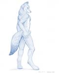 2013 blue_and_white canine cence digitigrade hand_on_hip looking_at_viewer looking_back male penis plain_background pose solo taurin_fox white_background wolf
Rating: Explicit
Score: 11
User: thenewthing
Date: November 25, 2013