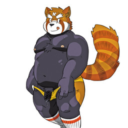 anthro belly black_body black_nose clothing genitals kemono male moobs nipples one_eye_closed overweight overweight_male penis simple_background solo tongue tongue_out underwear white_background wink shiba-kenta ailurid mammal red_panda 1:1 2015
