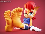 5_toes anthro barefoot bottomwear clothing feet female foot_focus foreshortening humanoid_feet looking_at_viewer one_eye_closed plantigrade shorts sitting soles solo toes wink milkmeister3d archie_comics sega sonic_the_hedgehog_(archie) sonic_the_hedgehog_(comics) sonic_the_hedgehog_(series) sally_acorn chipmunk ground_squirrel mammal rodent sciurid 3d_(artwork) 4:3 absurd_res digital_media_(artwork) hi_res signature