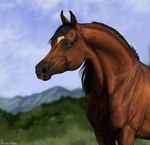 ambiguous_gender black_mane blue_eyes blue_sky blurred_background brown_body feral mane mouth_closed outside side_view sky solo scarlanya equid equine horse mammal artist_name hi_res