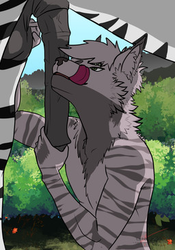 animal_genitalia animal_penis anthro anthro_on_feral ball_grab balls bestiality black_penis duo equine_genitalia equine_penis feral genitals licking male male/male nature nature_background oral penis penis_grab self_lick solo_focus tongue surturthewolflord cizek equid equine hyena mammal striped_hyena zebra absurd_res hi_res