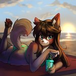 1:1 4_toes 5_fingers anthro arizona_iced_tea arm_tuft beach beach_towel bikini black_claws black_pawpads blue_eyes breasts brown_body brown_fur brown_hair brown_nose butt canid canine canis claws cleavage clothed clothing cloud cowlick day digital_media_(artwork) digitigrade domestic_dog eyebrow_through_hair eyebrows eyelashes feet female female_anthro fingers fur hair hi_res inner_ear_fluff long_hair looking_at_viewer lying mammal multicolored_body multicolored_fur on_front outside pawpads raised_leg raised_tail sally_(fumingstone) seaside shaded shadow smile solo straw_(disambiguation) sun swimwear tail talilly toes towel translucent translucent_hair tuft two_tone_body two_tone_fur water white_body white_fur