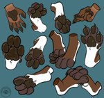 4_toes 5_fingers absurd_res ambiguous_gender anthro blue_background brown_body brown_fur brown_pawpads carifoxleopard claws curling_toes cyan_background dewclaw domestic_cat entwined_toes feet felid feline felis fingers foot_focus foot_shot fur hand_shot hi_res hindpaw humanoid_hands hybrid mammal pawpads paws prehistoric_species saber-toothed_tiger simple_background solo spread_toes toe_claws toes turquoise_background white_body white_fur