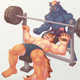 abs anthro athletic_wear becoming_erect blue_body blue_fur blush bodily_fluids brown_body brown_fur bulge countershading duo erection exclamation_point exercise fire flaming_hair flaming_mane fur genital_fluids genitals male male/male multicolored_body multicolored_fur muscular muscular_anthro muscular_male nipples orange_body orange_fur pecs penis precum pseudo_hair pseudo_mane tan_body tan_fur weightlifting workout workout_clothing workout_equipment ronci lifewonders live_a_hero barrel_(live_a_hero) furlong_(live_a_hero) canid canine canis hyena mammal wolf