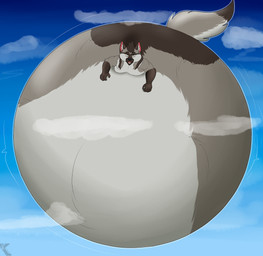 cloud flying inflation male sky solo tail tail_motion tailwag pumex diabolos_wolf canid canine canis domestic_dog german_shepherd herding_dog mammal pastoral_dog