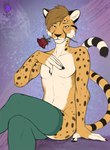 anthro bedroom_eyes clothing flower footwear hair inviting inviting_to_sex legwear male narrowed_eyes plant rose_(flower) seductive sitting slim_male socks solo stockings kaislair stone_(teamplayer99) cheetah felid feline humanoid mammal sketch