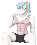 anthro boxers_(clothing) bulge clothing eyewear fur glasses male muscular muscular_male simple_background sitting solo underwear sly_shadex asian_mythology east_asian_mythology mythology eyvindr dragon eastern_dragon furred_dragon furred_scalie mythological_creature mythological_scalie scalie hi_res