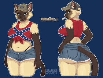 anthro blue_eyes bottomwear cigarette clothing confederate_flag confederate_states_of_america denim denim_bottomwear denim_clothing denim_shorts female hat headgear headwear navel politics shorts solo aurum79 domestic_cat felid feline felis mammal siamese alpha_channel