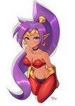 bandeau blue_eyes breasts brown_body brown_skin clothing crown ear_piercing ear_ring female hair headgear humanoid_pointy_ears long_hair navel not_furry open_mouth piercing pointy_ears ponytail purple_hair ring_piercing simple_background solo tiara topwear white_background wata-ridley shantae_(series) wayforward shantae genie humanoid 2020 hi_res signature