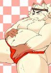 angry anthro asian_clothing belly black_nose clothing east_asian_clothing fundoshi humanoid_hands japanese_clothing kemono male moobs overweight overweight_male red_clothing red_fundoshi red_underwear solo underwear aretna canid canine fox mammal 2015 hi_res