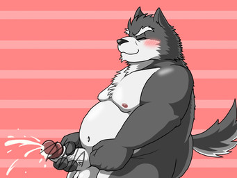 anthro balls belly black_nose bodily_fluids cum ejaculation erection eyes_closed genital_fluids genitals humanoid_genitalia humanoid_hands humanoid_penis kemono male masturbation moobs navel nipples overweight overweight_anthro overweight_male penis solo garuganofu canid canine canis mammal wolf 2015 4:3 censored