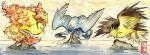 ambiguous_gender beak fire flying group legendary_birds legendary_trio outside trio water shadeofshinon european_mythology greek_mythology mythology nintendo pokemon articuno avian bird generation_1_pokemon legendary_pokemon moltres mythological_avian mythological_bird mythological_creature mythological_firebird phoenix pokemon_(species) zapdos 2011