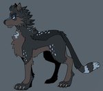 4_toes black_body black_fur black_hair black_nose black_tail blue_markings blue_sclera blue_tail_tip brown_body brown_eyebrows brown_eyes brown_fur brown_inner_ear chest_tuft claws dipstick_tail ear_piercing ear_ring eyebrows feet feral fluffy fluffy_tail fur fur_markings grey_background hair half-closed_eyes leg_tuft male markings multicolored_body multicolored_fur multicolored_tail narrowed_eyes piercing quadruped ring_piercing short_hair side_view simple_background solo standing tail tail_markings tan_claws toe_claws toes tuft beastofeuthanasia canid canine mammal 2023 digital_drawing_(artwork) digital_media_(artwork) english_description flat_colors hi_res