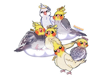 feral group halo simple_background white_background lunarluxy avian bird clound cockatiel cockatoo parrot hi_res