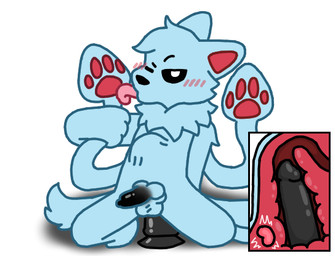 anal anal_penetration anthro balls blush dildo dildo_insertion erection genitals internal male male_penetrated masturbation nude object_in_ass penetration penis prostate sex_toy sex_toy_in_ass sex_toy_insertion solo tail mushroomwolf changed_(video_game) ruffle_(rufflemaker) squid_dog_(changed)