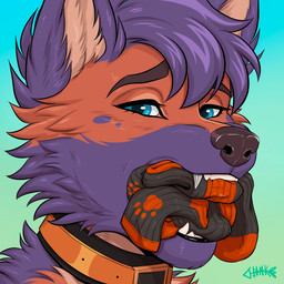 anthro blue_background blue_eyes clothing collar fangs footwear fur gag gagged gradient_background green_background improvised_gag looking_at_viewer male male_anthro multicolored_body multicolored_fur orange_body orange_fur purple_body purple_fur simple_background sock_fetish sock_gag sock_in_mouth socks socks_in_mouth solo submissive submissive_anthro submissive_male teeth junkieboi gizmo_(puddinpop34) canid canine canis domestic_dog german_shepherd herding_dog mammal pastoral_dog 1:1 hi_res icon