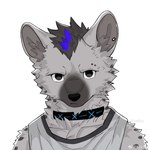 anthro black_hair blue_hair clothing collar ear_piercing eyebrow_piercing facial_piercing fur grey_body grey_fur hair looking_at_viewer male markings piercing simple_background solo spots spotted_body spotted_fur topwear korilov arknights hypergryph studio_montagne spot_(arknights) hyena mammal spotted_hyena 1:1 2024 absurd_res hi_res