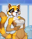 anthro big_breasts big_eyes blush book breasts brown_body brown_eyes brown_fur embarrassed female fur long_tail mostly_nude office orange_body orange_fur paper ring_binder side_boob slim solo tail white_body white_fur macmegagerc aggretsuko sanrio retsuko ailurid mammal red_panda hi_res