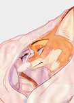 anthro duo eye_contact female fur green_eyes grey_body grey_fur looking_at_another male orange_body orange_fur purple_eyes strawberry628_(artist) disney zootopia judy_hopps nick_wilde canid canine fox lagomorph leporid mammal rabbit red_fox true_fox 2020 hi_res painting_(artwork) traditional_media_(artwork) traditional_painting_(artwork) traditional_watercolor_(artwork) watercolor_(artwork)