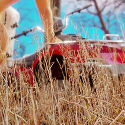 animal_genitalia animal_penis anthro anthro_on_anthro anthro_penetrated anthro_penetrating anthro_penetrating_anthro anthro_penetrating_female areola atv ballerina_position balls big_areola big_balls big_breasts big_nipples big_penis black_areola black_balls black_body black_eyebrows black_fur black_nipples black_penis black_tail blinking blue_eyes bouncing_balls bouncing_breasts breast_size_difference breasts cloud day duo equine_genitalia equine_penis erection eyebrows female female_anthro female_penetrated fingers fur genitals gynomorph gynomorph/female gynomorph_anthro gynomorph_penetrating gynomorph_penetrating_anthro gynomorph_penetrating_female heart_tattoo huge_balls huge_penis intersex intersex/female intersex_anthro intersex_penetrating intersex_penetrating_female moan multicolored_body multicolored_fur navel nipples nude nude_anthro nude_female nude_gynomorph outdoor_nudity outside outside_sex penetration penile penile_penetration penis penis_in_vagina pink_areola pink_nipples pink_nose plant predator/prey prey_penetrating_predator pupils saggy_balls savanna sex sky spread_legs spreading striped_body striped_fur stripes tail tan_body tan_fur tattoo teeth thick_thighs tree vaginal vaginal_penetration vehicle vulva white_body white_breasts white_fur white_tail womb_tattoo yellow_sclera sound_warning xaz3d jinax_(modeler) mayosplash_(modeler) disney the_lion_king nala_(the_lion_king) equid equine felid lion mammal pantherine zebra 1:1 2025 3d_(artwork) 3d_animation animated digital_media_(artwork) short_playtime sound webm