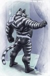 anthro back_muscles barefoot bathroom biceps biped black_body black_fur black_tail butt clothed clothing detailed_background feet fingers fur inside jockstrap male markings multicolored_body multicolored_fur multicolored_tail muscular muscular_anthro muscular_male ring_(marking) ringed_tail solo standing striped_body striped_fur striped_markings striped_tail stripes tail tail_markings towel towel_on_shoulder two_tone_body two_tone_fur two_tone_tail underwear whiskers white_body white_fur white_stripes white_tail captaingerbear denatri felid mammal pantherine tiger 2014 digital_media_(artwork) hi_res