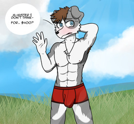 5_fingers abs anthro areola armpit_hair athletic athletic_anthro athletic_male biped black_nose blue_eyes blush bodily_fluids body_hair boxer_briefs brown_hair bulge clothing cloud cross cross_necklace day detailed_background dialogue eyebrows fingers fur grass grey_body grey_fur hair hand_behind_head jewelry male male_anthro muscular navel necklace nipples open_mouth outside pecs plant prostitution shy sky solo standing sweat text tongue underwear white_body white_fur kisig border_collie canid canine canis collie domestic_dog herding_dog mammal pastoral_dog sheepdog absurd_res digital_media_(artwork) english_text hi_res