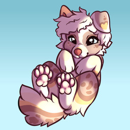 ambiguous_gender chibi feral solo young capone- kenji_(darkwolf062000) australian_shepherd canid canine canis domestic_dog herding_dog mammal pastoral_dog sheepdog 1:1 hi_res unavailable_at_source male_(lore)